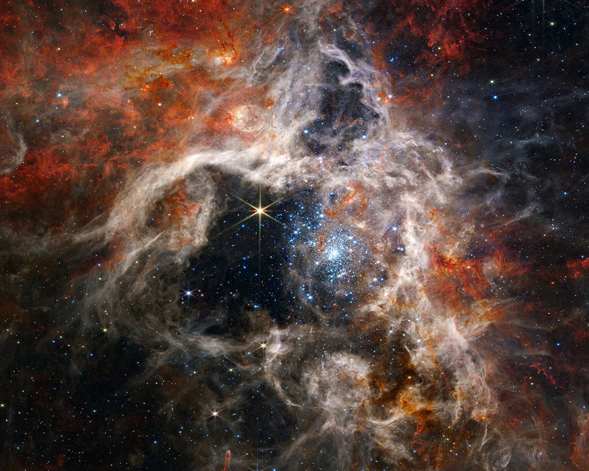 MetalPrint - James Webb Tarantula Nebula