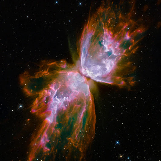 MetalPrint - The Butterfly Nebula